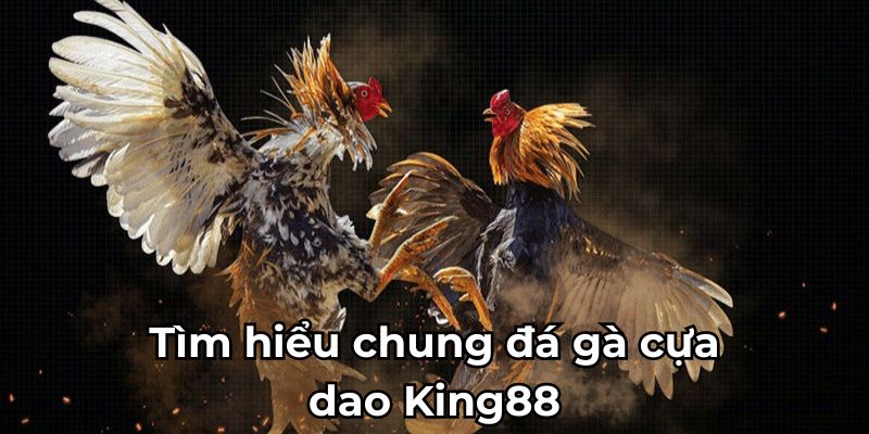 Tìm hiểu chung đá gà cựa dao King88